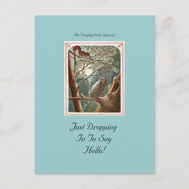 Die unheimlich kleine Eichhörnchen-Postkarte Postkarte (Vorderseite)