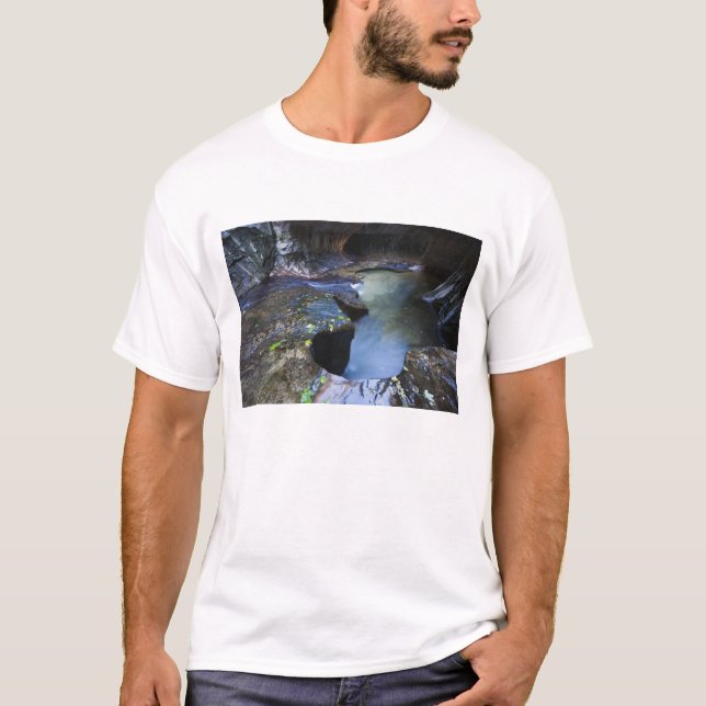 Die Untergrundbahnschlitzschlucht T-Shirt (Vorderseite)