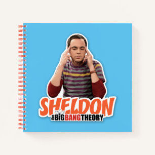 Die Urknalltheorie   Sheldon Notizbuch