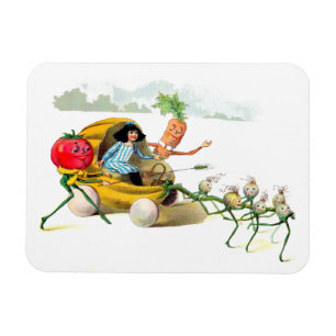 Die Vege-Männerräche Magnet