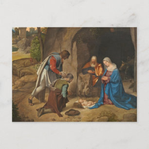 Die Verehrung der Hirten, 1505-10 Postkarte