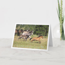 Die Verfolgung Karte