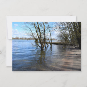 Die verlorenen Orte , Bäume am Ufer des Flusses Karte