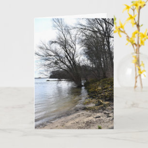 Die verlorenen Orte , Bäume am Ufer des Flusses Karte