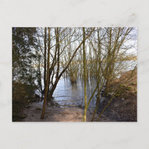 Die verlorenen Orte , Bäume am Ufer des Flusses Postkarte