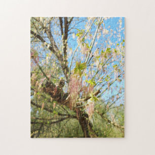 Die verlorenen Orte, die Meadowlands Natur, Frühli