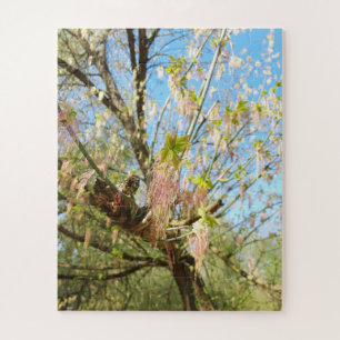 Die verlorenen Orte, die Meadowlands Natur, Frühli
