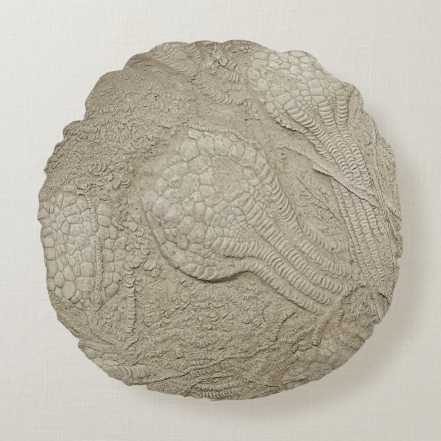 Die versteinerte Kissen-Sammlung Rundes Kissen (Vorderseite)