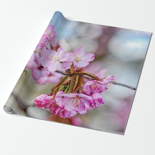 Die verworrene Schönheit der Sakura-Blüten Geschenkpapier (Ungerollt)