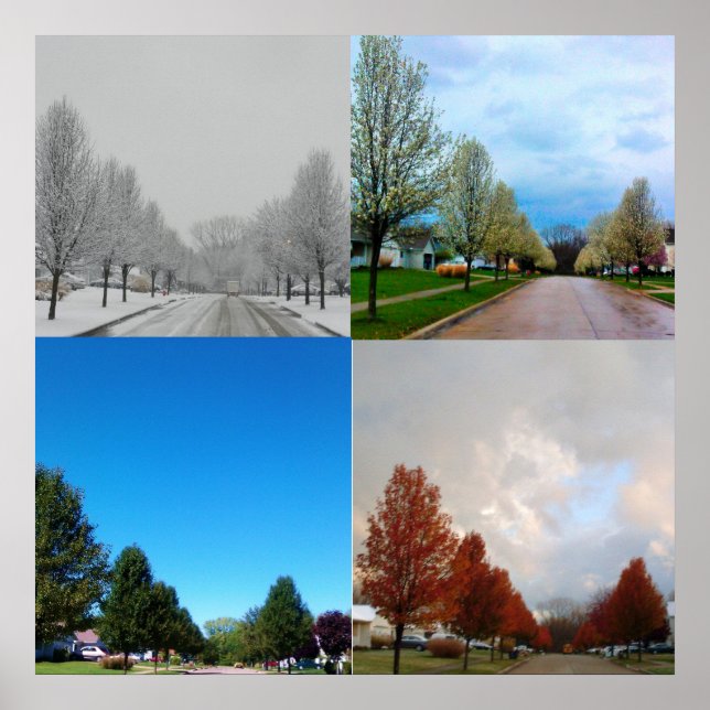 DIE VIER JAHRE POSTER (Vorne)