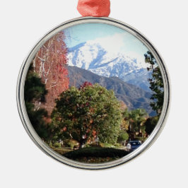 Die vier Jahreszeiten Silbernes Ornament