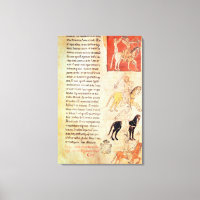 Die vier Pferde der Apokalypse