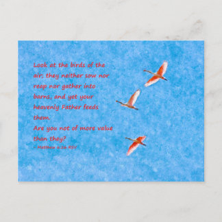 Die Vögel der Luft - Matthew 6:26 Postkarte