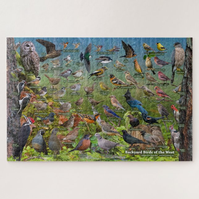 Die Vögel im Hinterhof des Westpuzzles (Horizontal)