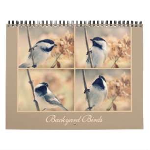 Die Vögel in Ihrem Hinterhof-Kalender Kalender