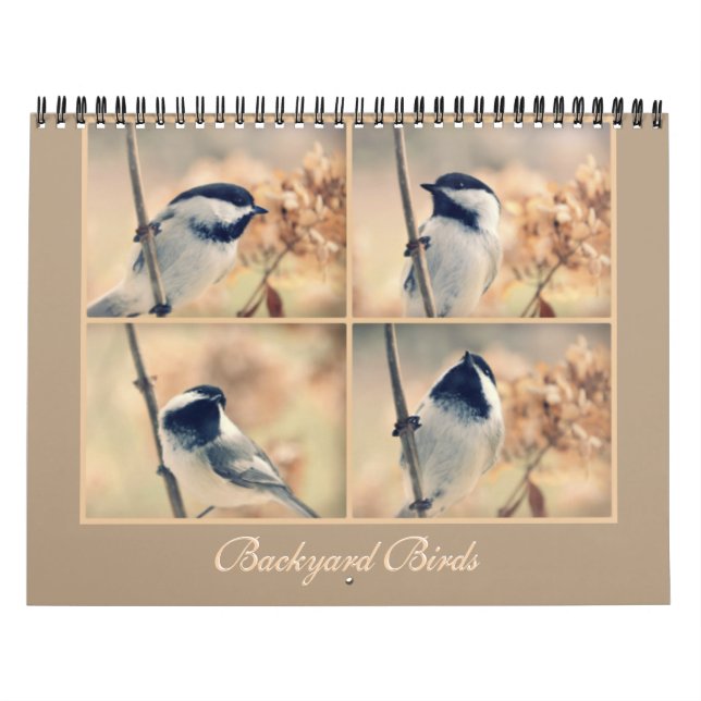 Die Vögel in Ihrem Hinterhof-Kalender Kalender (Titelbild)