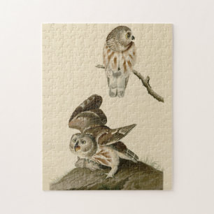 Die Vögel von Audubon in Amerika