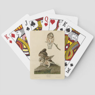 Die Vögel von Audubon in Amerika Spielkarten