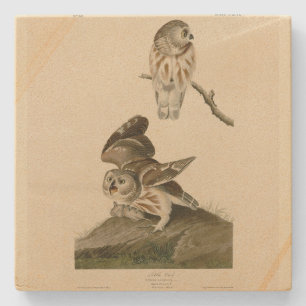 Die Vögel von Audubon in Amerika Steinuntersetzer