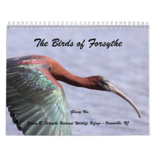 Die Vögel von Forsythe II Kalender
