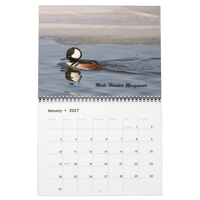 Die Vögel von Forsythe Kalender (Jan 2027)
