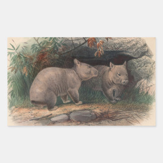Die von Joseph Wolf hairy genähte Wombat Rechteckiger Aufkleber
