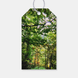 Die Wälder Geschenkanhänger