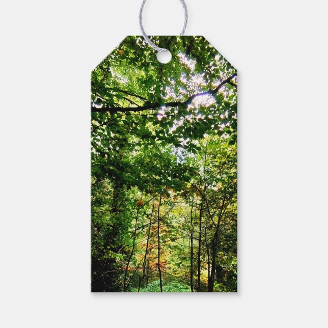 Die Wälder Geschenkanhänger (Vorderseite)