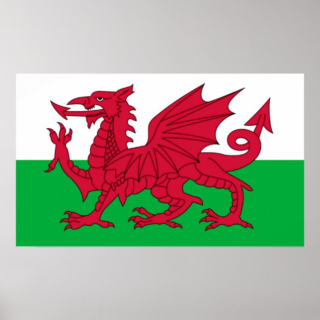 Die walisische Flagge Poster (Vorne)