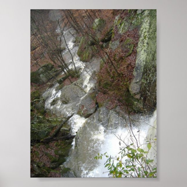 Die Wasserfälle Poster (Vorne)