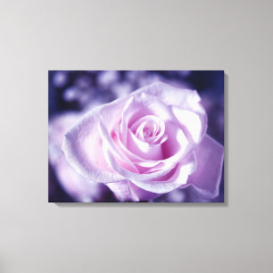 Die weich rosa rosa rosenstarkte Leinwand drucken