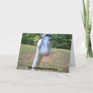Die Weihnachtsgoose sagt: Feiertagskarte