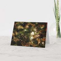 Die Weihnachtsschmetterlinge