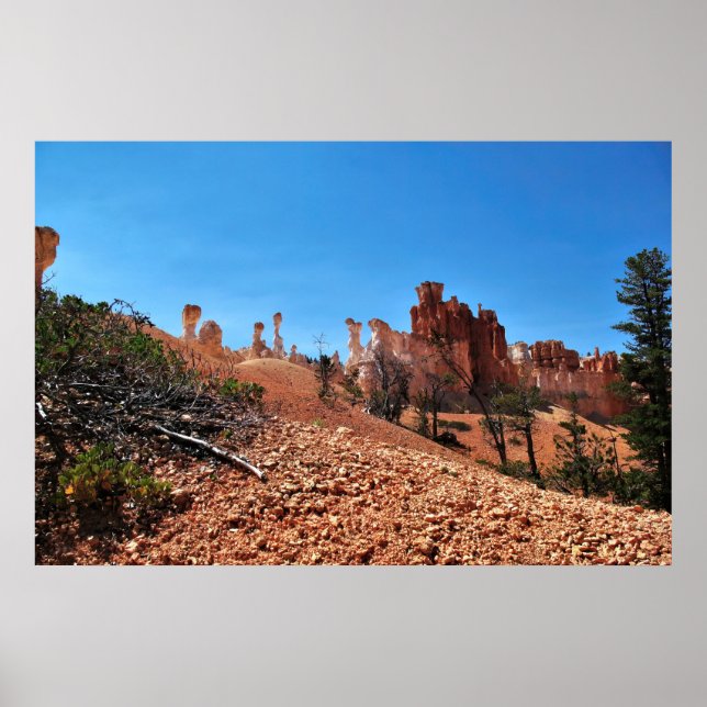 Die Weisheit des Bryce Canyon Poster (Vorne)