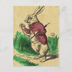 Die weiße Kaninchenpostkarte Postkarte