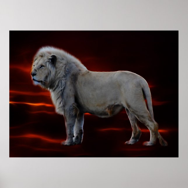 Die weiße Lion Poster (Vorne)