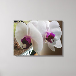 DIE WEISSE ORCHID-Leinwand Leinwanddruck