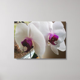 DIE WEISSE ORCHID-Leinwand Leinwanddruck