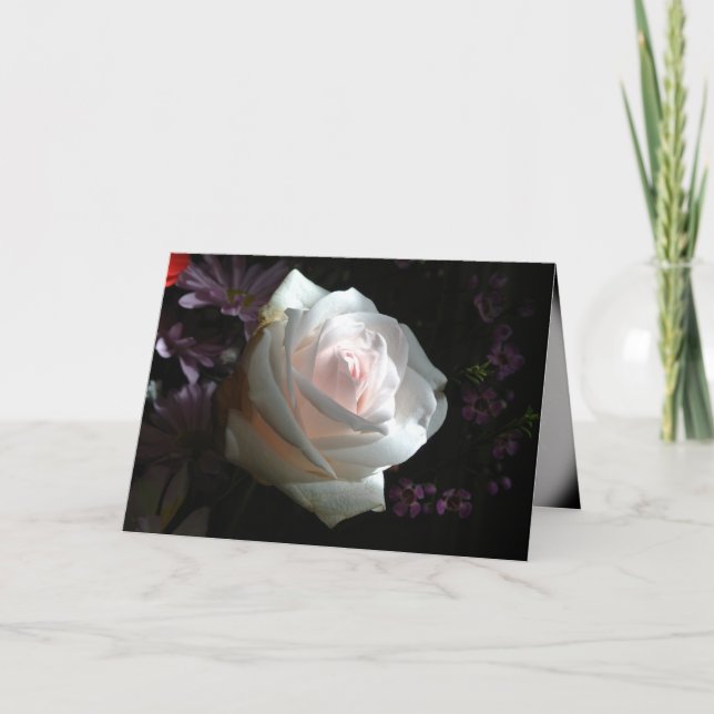 Die weiße Rose Karte (Vorderseite)