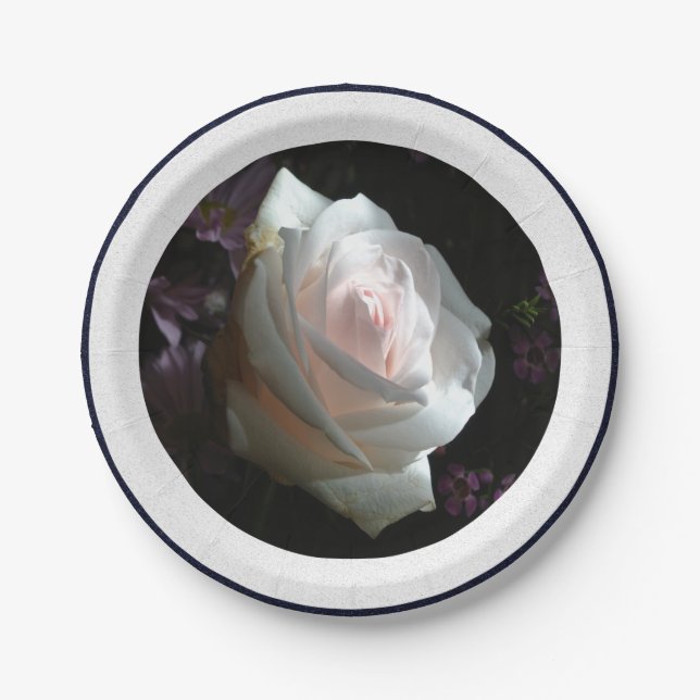 Die weiße Rose Pappteller (Vorderseite)