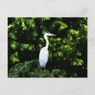 Die weiße Vogelpostkarte Postkarte