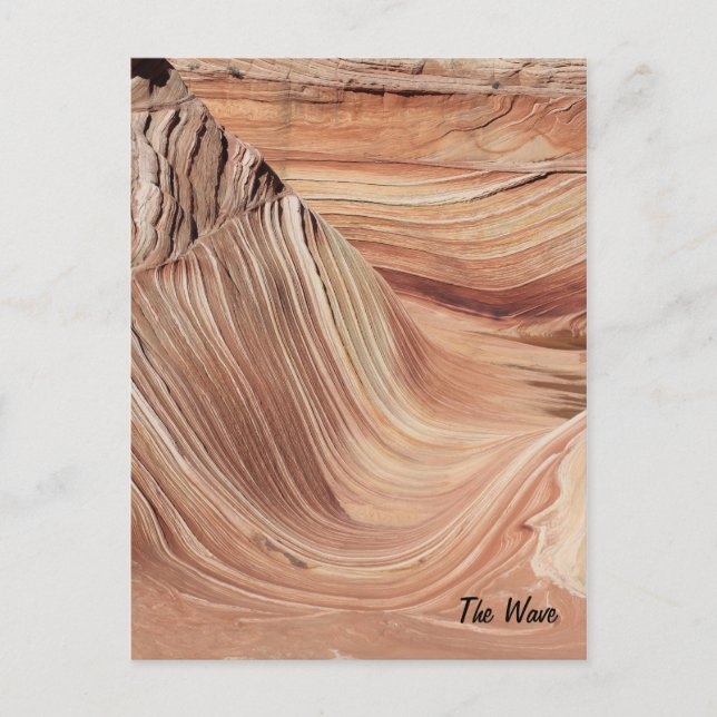 Die Welle Postkarte (Vorderseite)