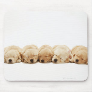 Die Welpen des golden retriever Mousepad