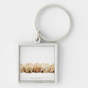 Die Welpen des golden retriever Schlüsselanhänger