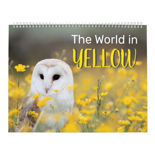 Die Welt im Gelben, 2025 zwei Seiten großer Kalend Kalender (Titelbild)