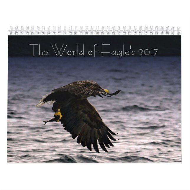 Die Welt von Eagles 2017 Kalender (Titelbild)