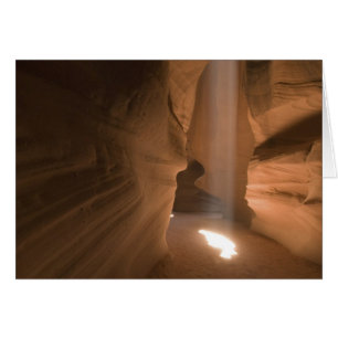 Die Wendeltreppe im Upper Antelope Canyon, Navajo
