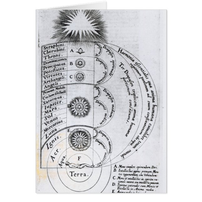 Die wesentliche Harmonie (Vorne)