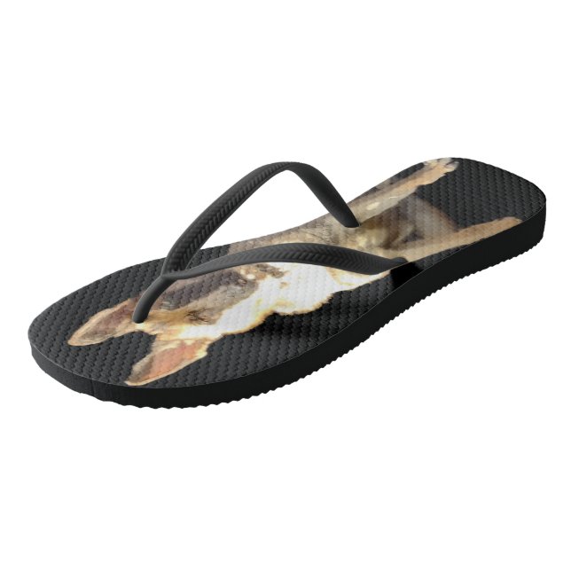 DIE WICHTIGSTEN DEUTSCHEN SCHEPHERHEREN FLIP-FLOPS FLIP FLOPS (Schrägansicht)