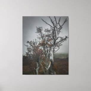 Die Widerstandskraft der Natur: Tierra del Fuego, Leinwanddruck
